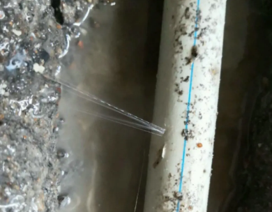 贡嘎测漏水哪家好