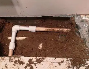 贡嘎测漏水哪家好