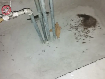 贡嘎卫生间测漏水价格明细