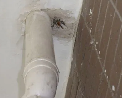 贡嘎漏水检测哪家好